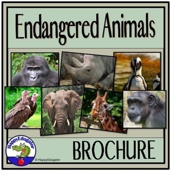 Preview of Endangered Animals Brochure Research Project with Rubric
