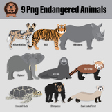 Endangered Animal Digital Illustrations - Png Wildlife Con