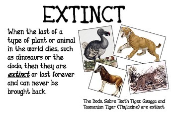 Endangered Animals- Definition of Terms by Mrs Tate | TPT