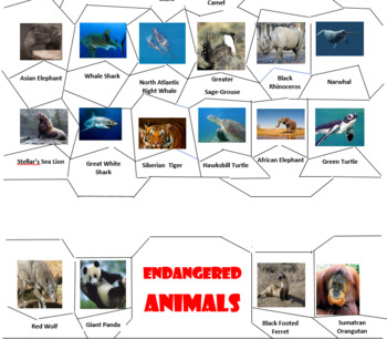 threatened animals list