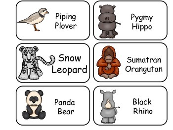 Arctic Animal Picture-Word Cards - PreKinders