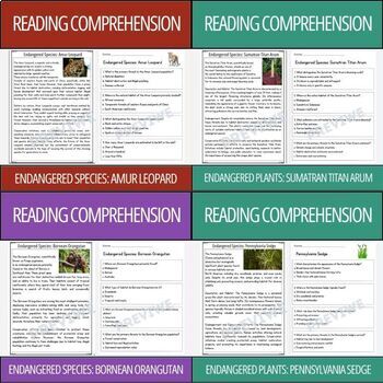 Preview of Endangered Animals & Plants - Reading Comprehension Activity | Mega Bundle