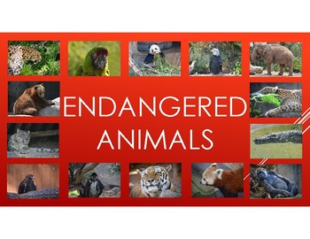 Preview of Endangered Animals-PowerPoint with diet, habitat, attributes, and baby info.