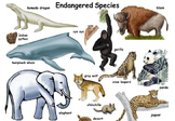 Endangered Animals Unit - 25 review articles/lessons and 25 powerpoints