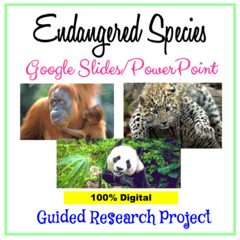 Endangered Animals Powerpoint Teaching Resources | TPT