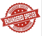 Endangered Species Brochure