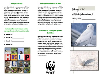 Preview of Endangered Species Brochure Project (Microsoft Publisher)