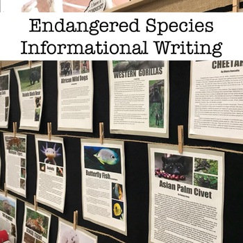 Preview of Endangered Species Informational Writing