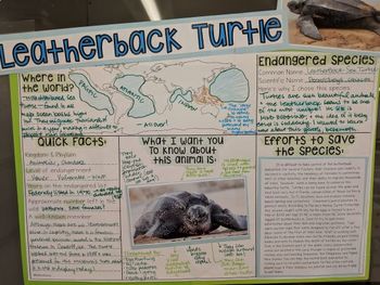endangered animal poster project