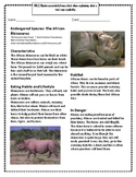 Endangered Species: The African Rhinoceros
