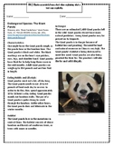 Endangered Species: The Giant Panda