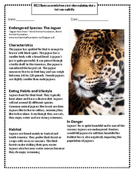 Why Are Jaguars Endangered? - Lesson for Kids - Video & Lesson Transcript