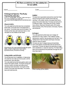 Bumblebee Identification, Habits & Behavior