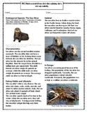 Endangered Species: The Sea Otter
