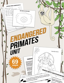 Preview of Endangered Species Unit: Primate Lesson Plan