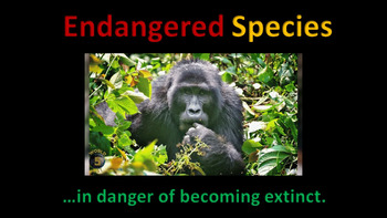Endangered Species (animated) by Science in the Corner | TpT