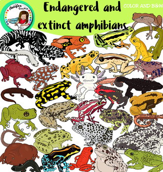 Endangered and extinct amphibians- 72 items! by Artifex | TPT