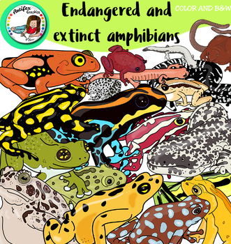 Endangered and extinct amphibians- 72 items! by Artifex | TPT