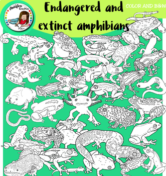 Endangered and extinct amphibians- 72 items! by Artifex | TPT