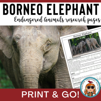 Preview of Endangered animal Borneo elephant information page for animal research report