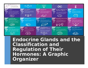 Preview of Endocrine Glands: Classification and Regulation of Hormones: A Graphic Organizer