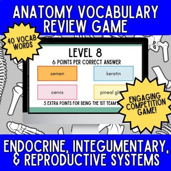Preview of Endocrine, Integumentary, & Reproductive Systems Vocab Activity- Anatomy Game