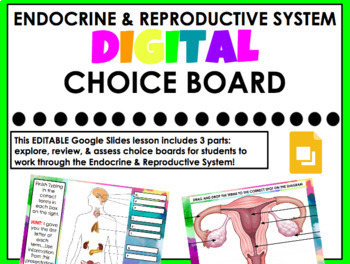 Preview of Endocrine & Reproductive System REVIEW Choice Board (PART 2)