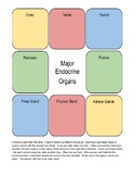 Endocrine Review Game with Hormones and Functions