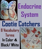 Endocrine System Activity: Human Body Systems Cootie Catch