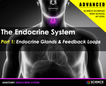Preview of Endocrine System Advanced Unit Presentation PPT With Student Summary Notes