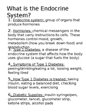 Endocrine System Bulletin Board