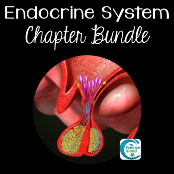 Preview of Endocrine System Chapter Bundle for Anatomy and Physiology