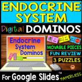 Endocrine System DIGITAL DOMINOS for Google Slides