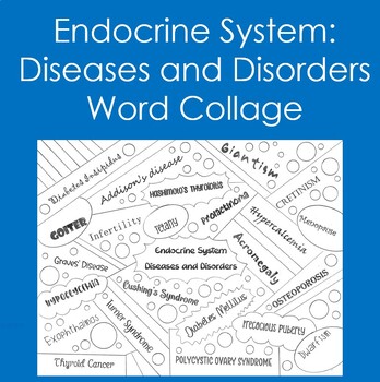 Preview of Endocrine System: Diseases and Disorders Word Collage (Coloring, Anatomy)