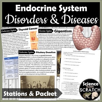 Preview of Endocrine System Disorders and Diseases Stations