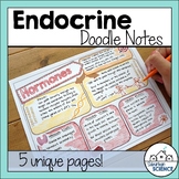Endocrine System Doodle Notes- Glands & Hormones  [Distanc