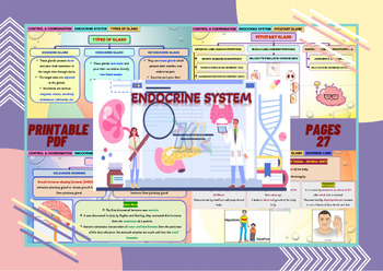 Preview of Endocrine System|Endocrine Gland|Hormones|Biology Notes