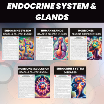 Preview of Endocrine System & Endocrine Glands | Function, Organs, Diseases | Human Biology