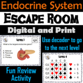 Human Body Systems Activity: Endocrine (Anatomy Escape Roo