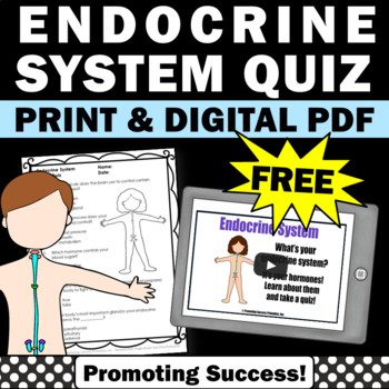 Preview of FREE Endocrine System 5th Grade Science Vocabulary The Human Body Systems Quiz