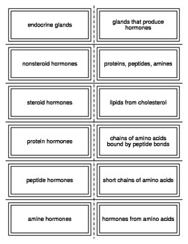 Endocrine System Flash Cards by Everything Science and Beyond | TpT