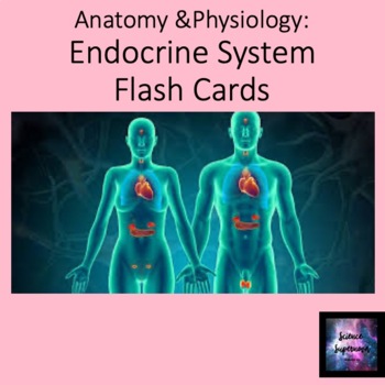 Preview of Endocrine System Flash Cards
