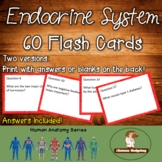 Endocrine System Flash Cards