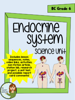 Preview of Endocrine System Full Unit - BC Grade 6 Science
