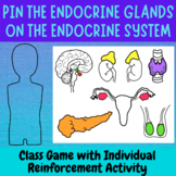 Endocrine System Game and Activity | Identifying Endocrine