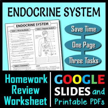 Preview of Endocrine System Homework Review Worksheet / Test Prep | Print & Google Slides