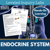 Endocrine System Inquiry Labs