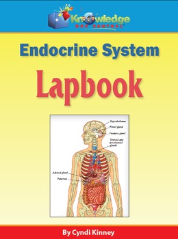 Preview of Endocrine System Lapbook / Interactive Notebook - EBOOK