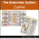 Endocrine System Lapbook Endocrine System Activity Simple Primary