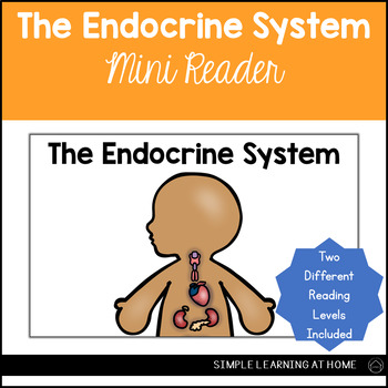 Preview of Endocrine System Mini Reader Set Endocrine System Activity Simple Primary